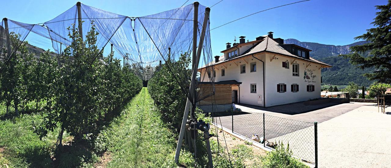 Residence Egger Terlano Esterno foto